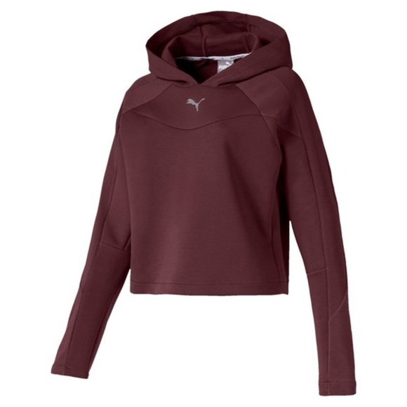 Puma Dryfit Fitted hoodie with sheer ribbing sleeve detail and zippered pockets - Picture 1 of 15